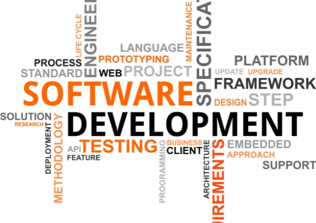 Software Development