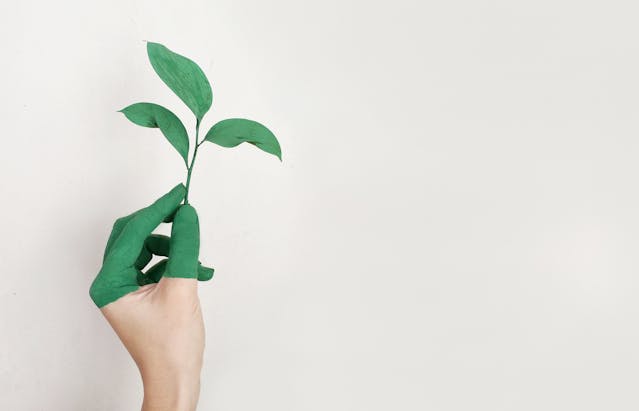Banner - The Roadmap to Sustainability