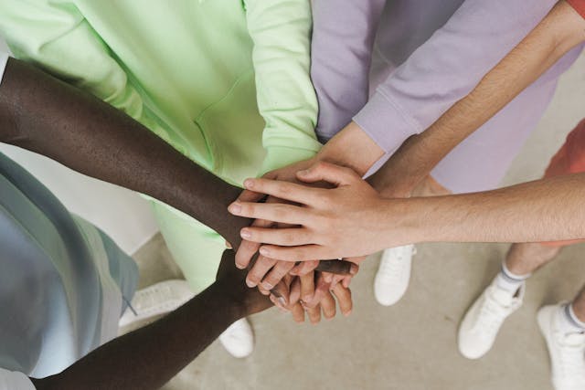 The Role of Trust in Building High-Performing Project Teams